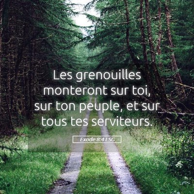 Picture 05 - Exode 8:4 LSG - Les grenouilles monteront sur toi, sur ton - Bible Verse Picture