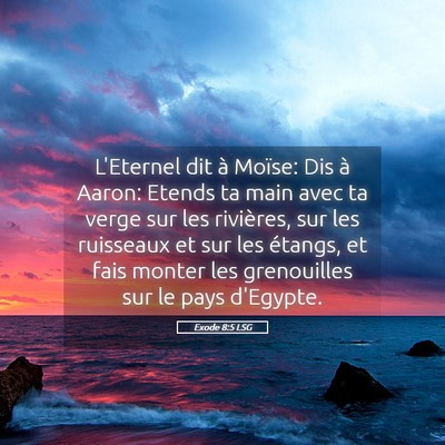 Picture 05 - Exode 8:5 LSG - L'Eternel dit à Moïse: Dis à Aaron: Etends ta - Bible Verse Picture
