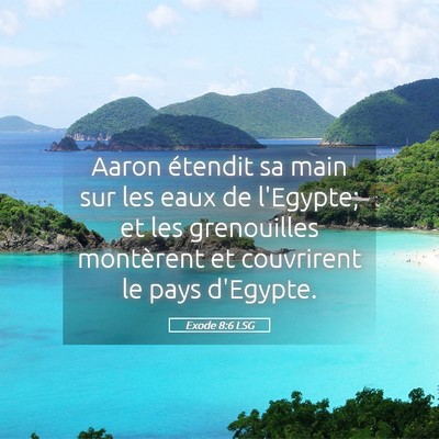 Picture 05 - Exode 8:6 LSG - Aaron étendit sa main sur les eaux de l'Egypte; - Bible Verse Picture