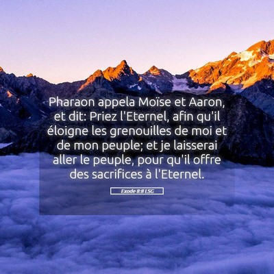 Picture 05 - Exode 8:8 LSG - Pharaon appela Moïse et Aaron, et dit: Priez - Bible Verse Picture