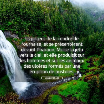 Picture 05 - Exode 9:10 LSG - Ils prirent de la cendre de fournaise, et se - Bible Verse Picture