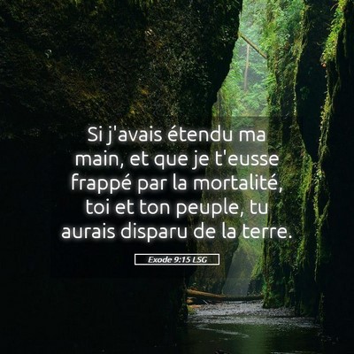 Picture 05 - Exode 9:15 LSG - Si j'avais étendu ma main, et que je t'eusse - Bible Verse Picture