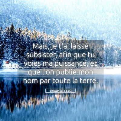 Picture 05 - Exode 9:16 LSG - Mais, je t'ai laissé subsister, afin que tu - Bible Verse Picture