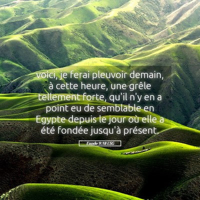 Picture 05 - Exode 9:18 LSG - voici, je ferai pleuvoir demain, à cette heure, - Bible Verse Picture