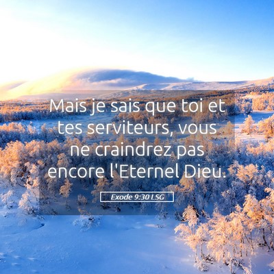 Picture 05 - Exode 9:30 LSG - Mais je sais que toi et tes serviteurs, vous ne - Bible Verse Picture