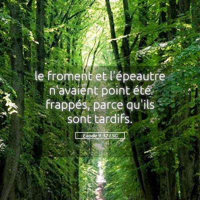 Picture 05 - Exode 9:32 LSG - le froment et l'épeautre n'avaient point été - Bible Verse Picture