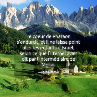 Picture 05 - Exode 9:35 LSG - Le coeur de Pharaon s'endurcit, et il ne laissa - Bible Verse Picture