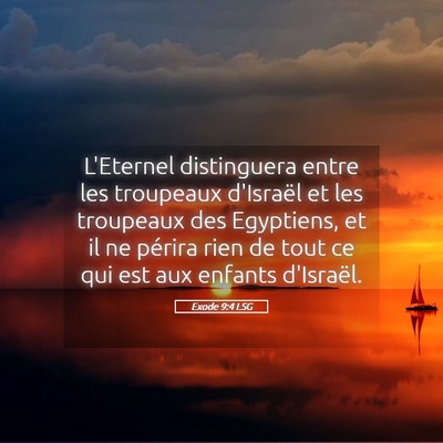 Picture 05 - Exode 9:4 LSG - L'Eternel distinguera entre les troupeaux - Bible Verse Picture
