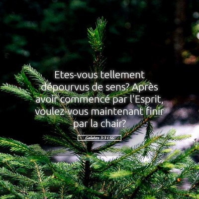 Picture 05 - Galates 3:3 LSG - Etes-vous tellement dépourvus de sens? Après - Bible Verse Picture