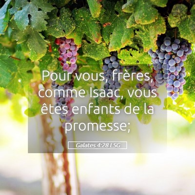 Picture 05 - Galates 4:28 LSG - Pour vous, frères, comme Isaac, vous êtes - Bible Verse Picture