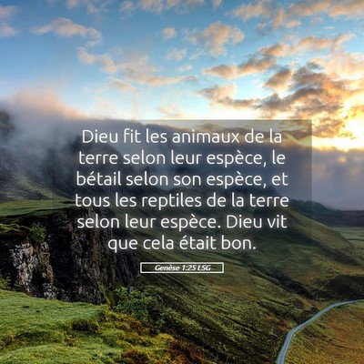Picture 05 - Genèse 1:25 LSG - Dieu fit les animaux de la terre selon leur - Bible Verse Picture