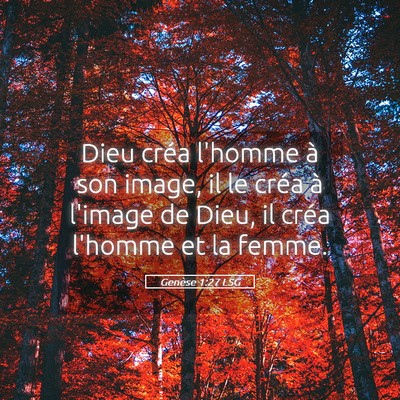 Picture 05 - Genèse 1:27 LSG - Dieu créa l'homme à son image, il le créa à - Bible Verse Picture