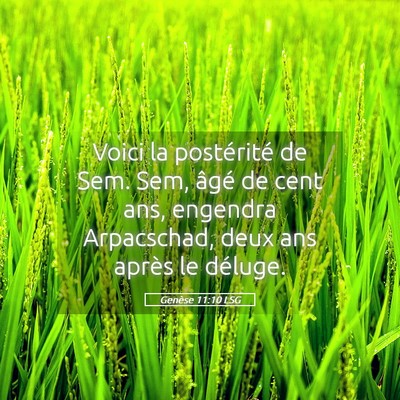 Picture 05 - Genèse 11:10 LSG - Voici la postérité de Sem. Sem, âgé de cent - Bible Verse Picture