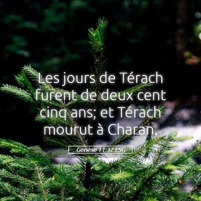 Picture 05 - Genèse 11:32 LSG - Les jours de Térach furent de deux cent cinq - Bible Verse Picture