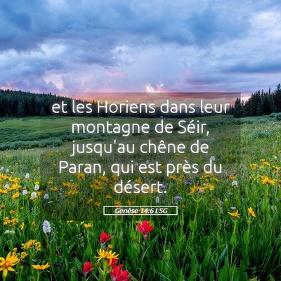 Picture 05 - Genèse 14:6 LSG - et les Horiens dans leur montagne de Séir, - Bible Verse Picture