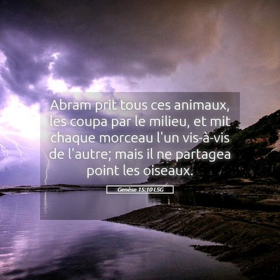 Picture 05 - Genèse 15:10 LSG - Abram prit tous ces animaux, les coupa par le - Bible Verse Picture