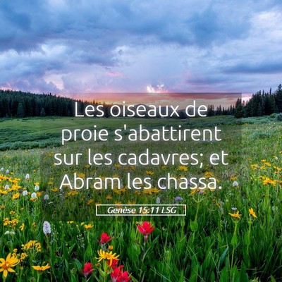 Picture 05 - Genèse 15:11 LSG - Les oiseaux de proie s'abattirent sur les - Bible Verse Picture