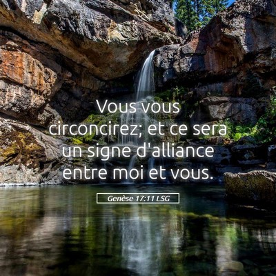 Picture 05 - Genèse 17:11 LSG - Vous vous circoncirez; et ce sera un signe - Bible Verse Picture