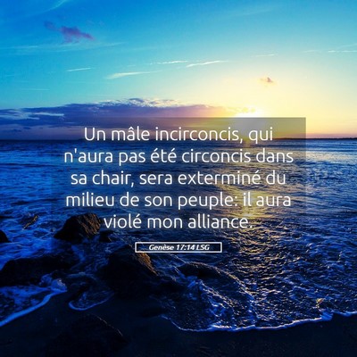 Picture 05 - Genèse 17:14 LSG - Un mâle incirconcis, qui n'aura pas été - Bible Verse Picture