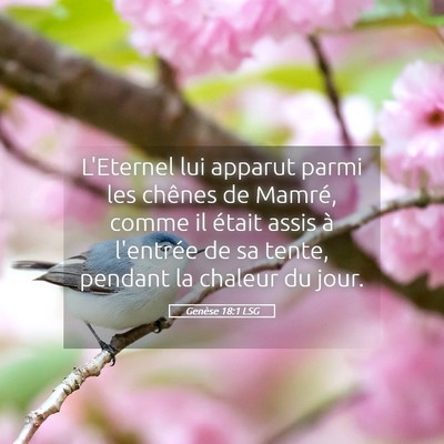 Picture 05 - Genèse 18:1 LSG - L'Eternel lui apparut parmi les chênes de - Bible Verse Picture