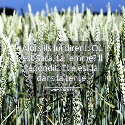 Picture 05 - Genèse 18:9 LSG - Alors ils lui dirent: Où est Sara, ta femme? Il - Bible Verse Picture