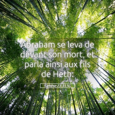 Picture 05 - Genèse 23:3 LSG - Abraham se leva de devant son mort, et parla - Bible Verse Picture