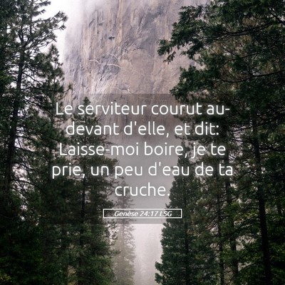 Picture 05 - Genèse 24:17 LSG - Le serviteur courut au-devant d'elle, et dit: - Bible Verse Picture
