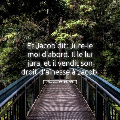 Picture 05 - Genèse 25:33 LSG - Et Jacob dit: Jure-le moi d'abord. Il le lui - Bible Verse Picture