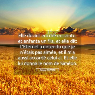 Picture 05 - Genèse 29:33 LSG - Elle devint encore enceinte, et enfanta un fils, - Bible Verse Picture