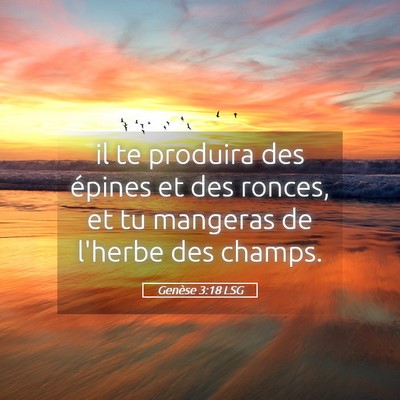 Picture 05 - Genèse 3:18 LSG - il te produira des épines et des ronces, et tu - Bible Verse Picture