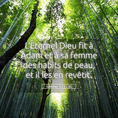 Picture 05 - Genèse 3:21 LSG - L'Eternel Dieu fit à Adam et à sa femme des - Bible Verse Picture