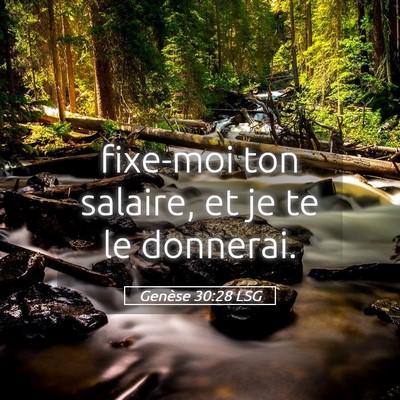 Picture 05 - Genèse 30:28 LSG - fixe-moi ton salaire, et je te le - Bible Verse Picture