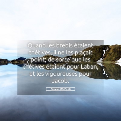 Picture 05 - Genèse 30:42 LSG - Quand les brebis étaient chétives, il ne les - Bible Verse Picture