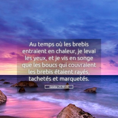 Picture 05 - Genèse 31:10 LSG - Au temps où les brebis entraient en chaleur, je - Bible Verse Picture