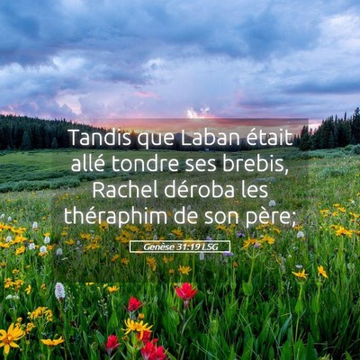Picture 05 - Genèse 31:19 LSG - Tandis que Laban était allé tondre ses brebis, - Bible Verse Picture