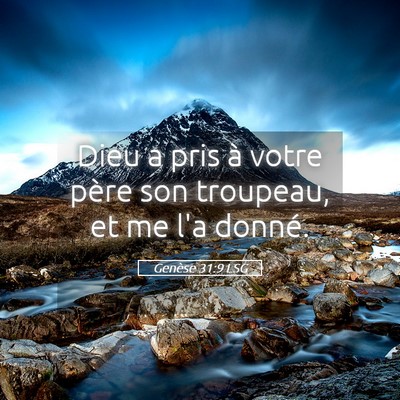 Picture 05 - Genèse 31:9 LSG - Dieu a pris à votre père son troupeau, et me - Bible Verse Picture