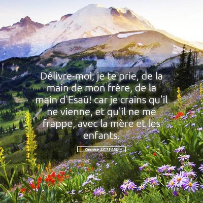 Picture 05 - Genèse 32:11 LSG - Délivre-moi, je te prie, de la main de mon - Bible Verse Picture