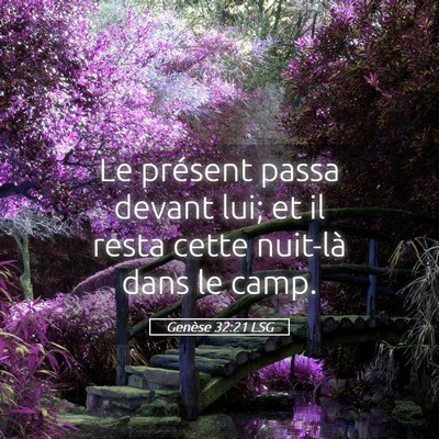 Picture 05 - Genèse 32:21 LSG - Le présent passa devant lui; et il resta cette - Bible Verse Picture