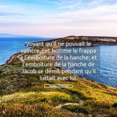 Picture 05 - Genèse 32:25 LSG - Voyant qu'il ne pouvait le vaincre, cet homme le - Bible Verse Picture