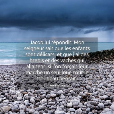 Picture 05 - Genèse 33:13 LSG - Jacob lui répondit: Mon seigneur sait que les - Bible Verse Picture