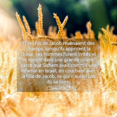 Picture 05 - Genèse 34:7 LSG - Et les fils de Jacob revenaient des champs, - Bible Verse Picture