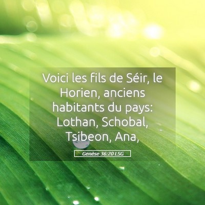 Picture 05 - Genèse 36:20 LSG - Voici les fils de Séir, le Horien, anciens - Bible Verse Picture