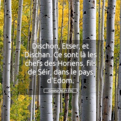 Picture 05 - Genèse 36:21 LSG - Dischon, Etser, et Dischan. Ce sont là les chefs - Bible Verse Picture