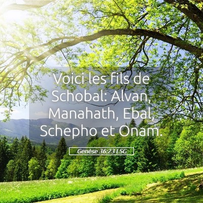 Picture 05 - Genèse 36:23 LSG - Voici les fils de Schobal: Alvan, Manahath, Ebal, - Bible Verse Picture