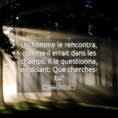 Picture 05 - Genèse 37:15 LSG - Un homme le rencontra, comme il errait dans les - Bible Verse Picture