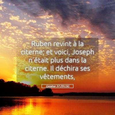 Picture 05 - Genèse 37:29 LSG - Ruben revint à la citerne; et voici, Joseph - Bible Verse Picture