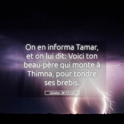 Picture 05 - Genèse 38:13 LSG - On en informa Tamar, et on lui dit: Voici ton - Bible Verse Picture