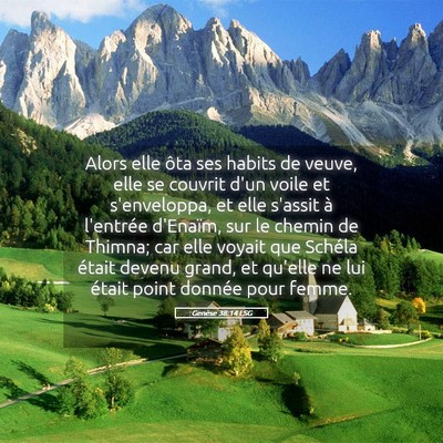 Picture 05 - Genèse 38:14 LSG - Alors elle ôta ses habits de veuve, elle se - Bible Verse Picture