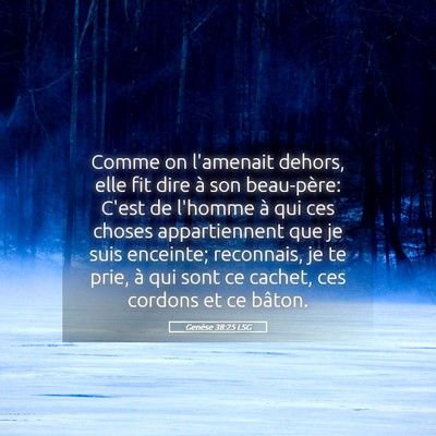 Picture 05 - Genèse 38:25 LSG - Comme on l'amenait dehors, elle fit dire à son - Bible Verse Picture