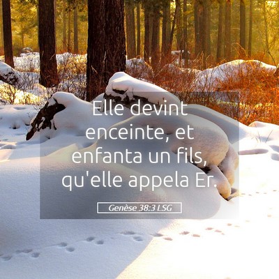 Picture 05 - Genèse 38:3 LSG - Elle devint enceinte, et enfanta un fils, qu'elle - Bible Verse Picture